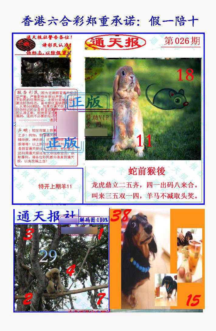 026期假一陪十通天报[图]