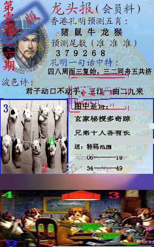 026期龙头报[图]