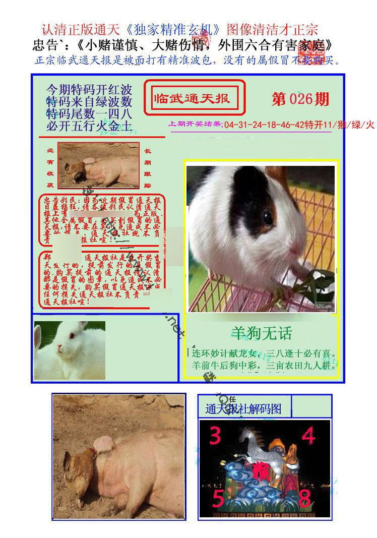 026期临武通天报[图]