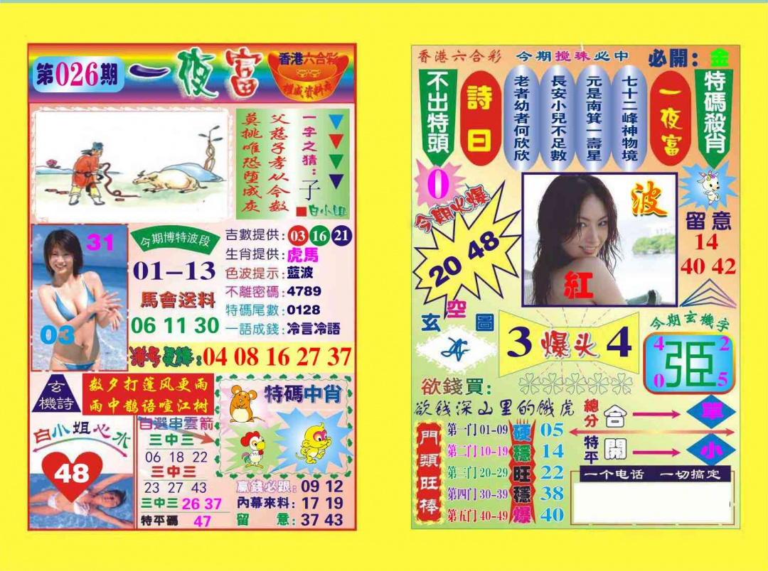 026期一夜富[图]