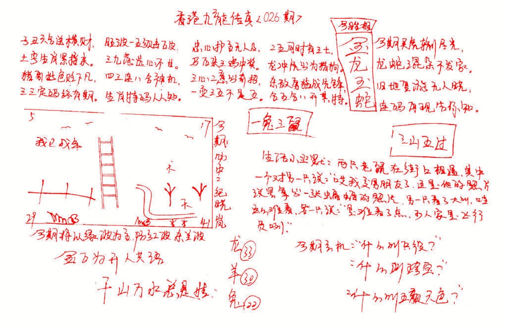 026期九龙传真(手写)[图]