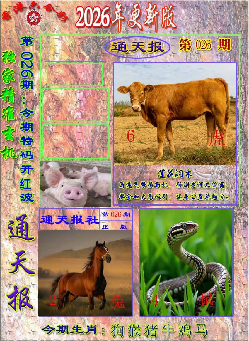 026期新通报[图]