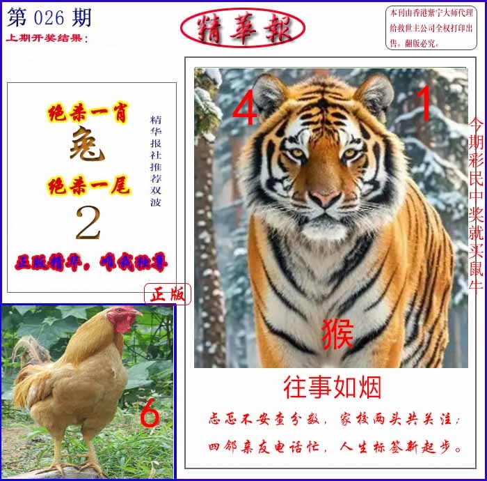 026期新精华报报[图]