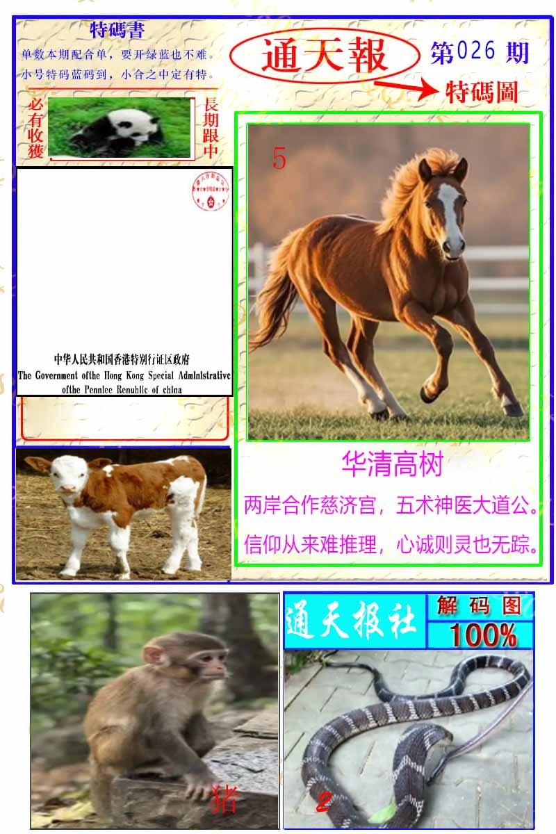 026期通天特解图[图]