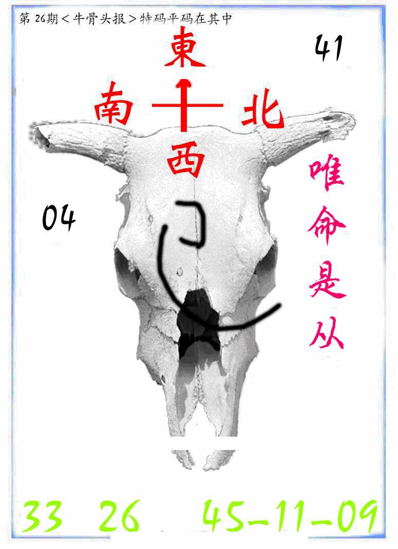 026期牛派牛头报[图]