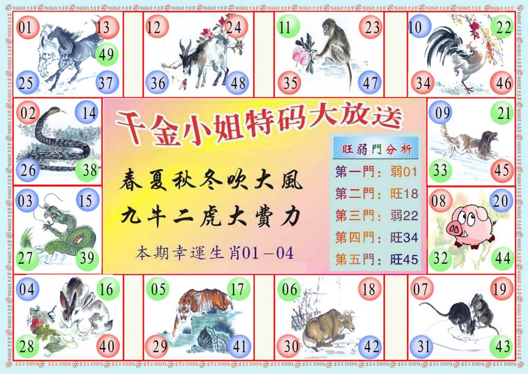 026期(新版)千金小姐B[图]